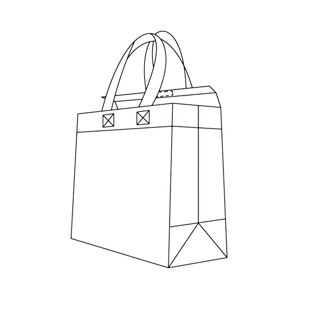 Insulated Box Bag