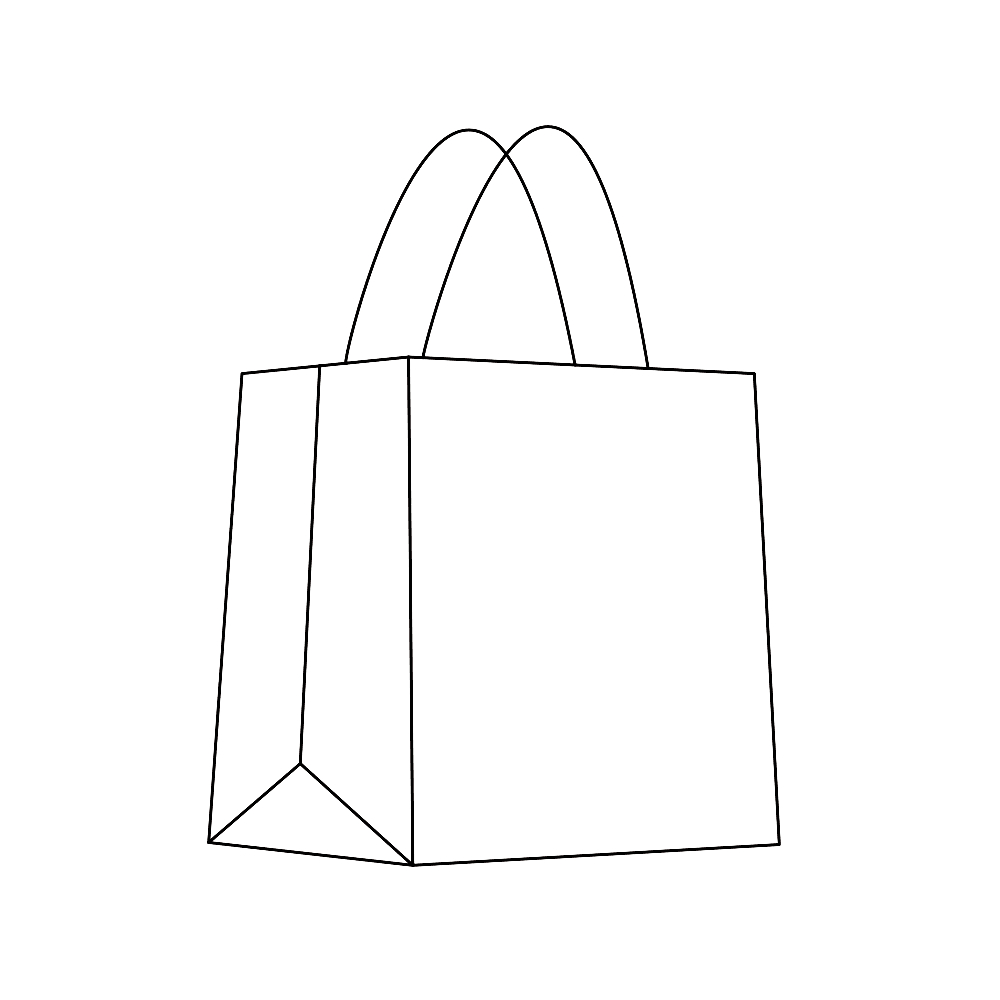 Twisted Handle Paper Bag